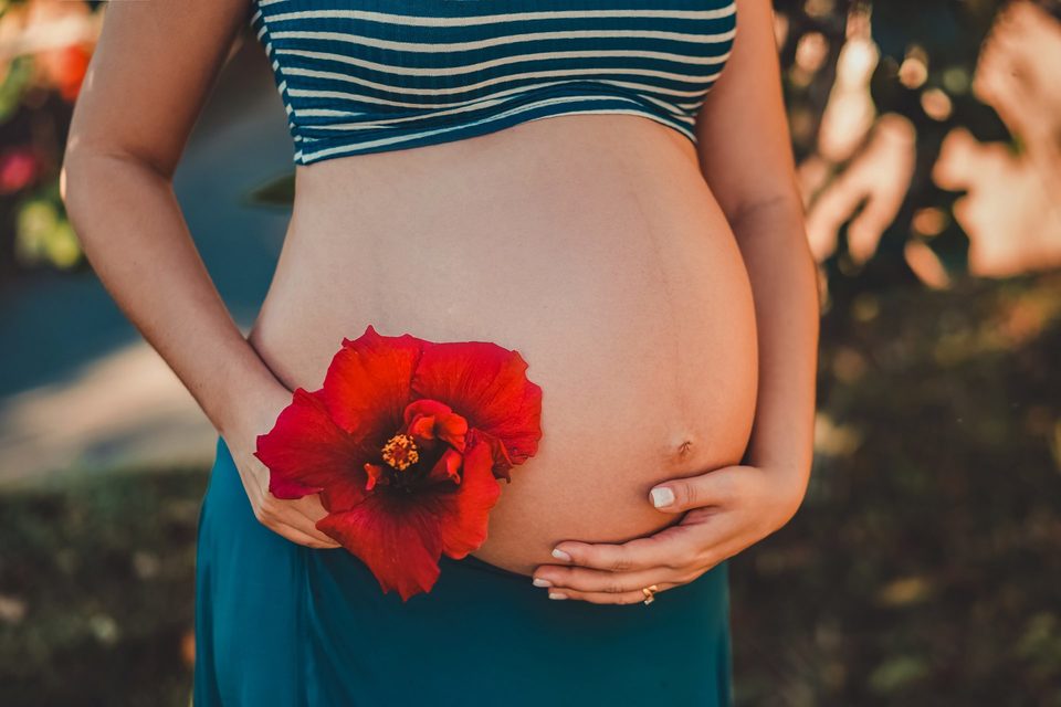 Gestantes Gestantes